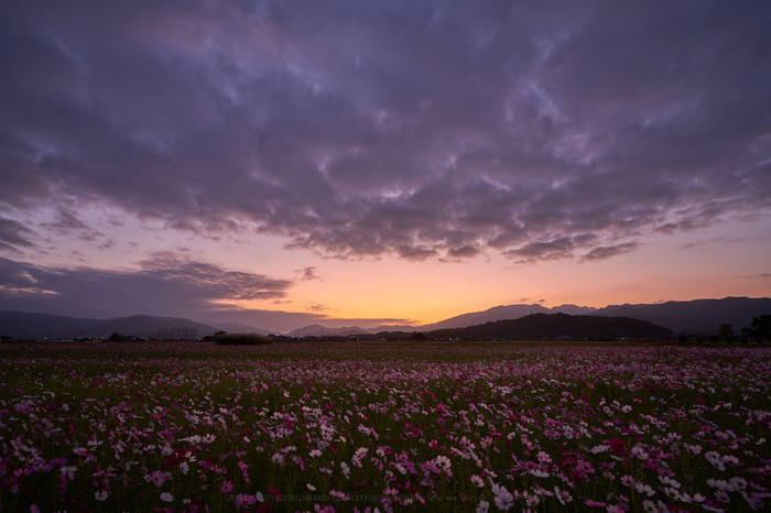 お写ん歩: SONY α7 II ILCE-7M2アーカイブ お写ん歩: SONY α7 II ILCE-7M2アーカイブ